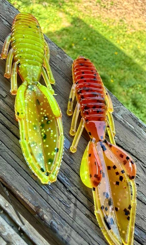 Beaver Bugs