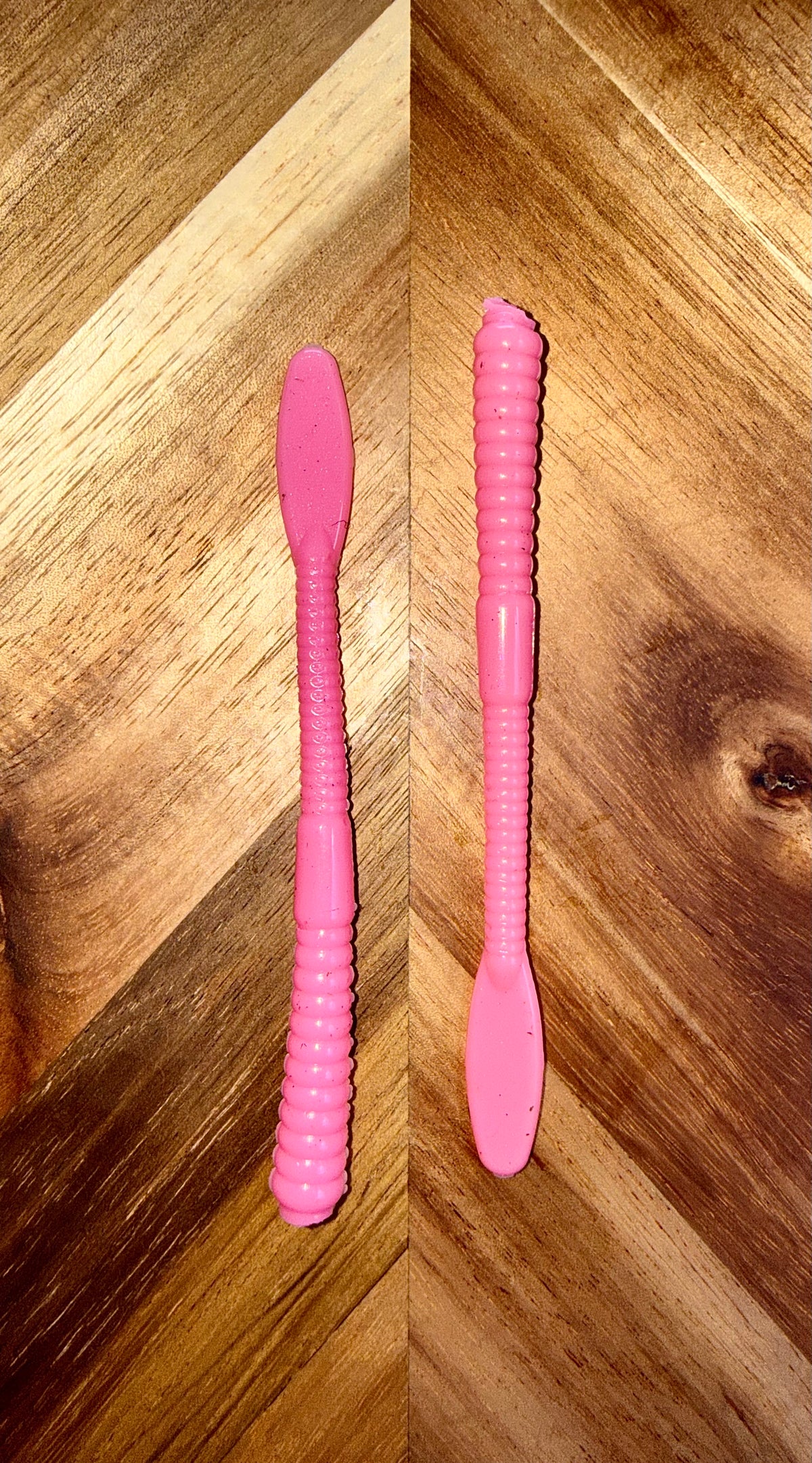 Leech worm