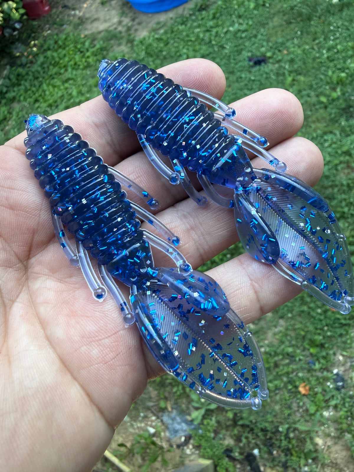 Beaver Bugs